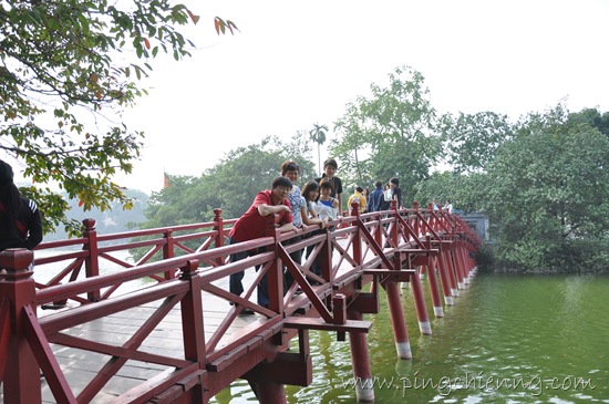 [DSC_03372.jpg]
