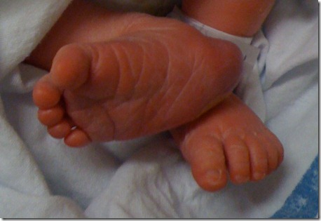 IMG_0426 IMG_0426