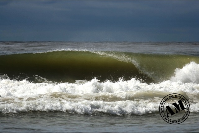 [carcavelos 6-2-2010 12-13 sushi-002[4].jpg]