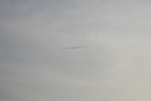 DSC_7635.JPG