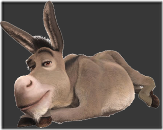 burro2ml9