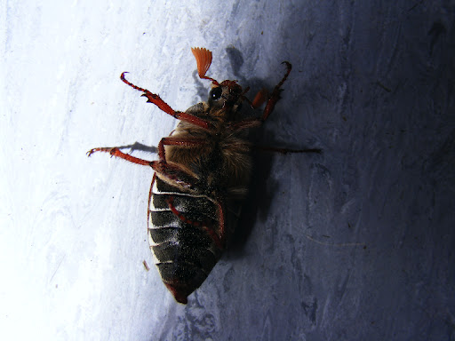 DSCF1003.9MOceaYjKcsY.jpg
