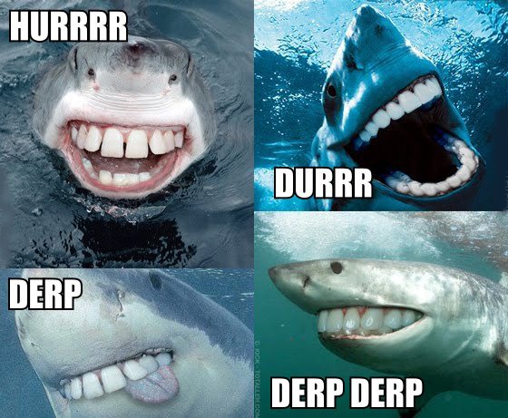 [derp99_shark_derp_durr_hurr[5].jpg]