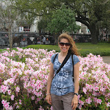 Nice petunias!!