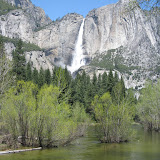 Yosemite Falls from Merced River