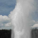 There she blows!