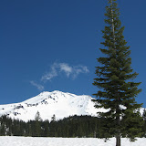 Mt Shasta