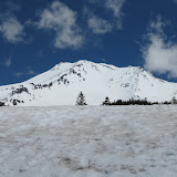 More Shasta