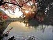 [clip_image008[3].jpg]