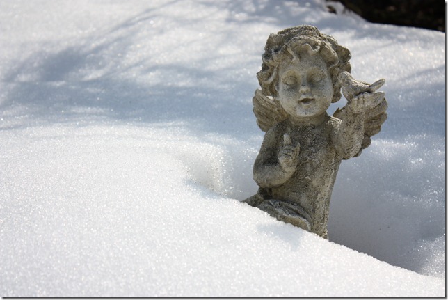 engel i snø