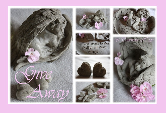 [give away i Toneroses hage[7].jpg]