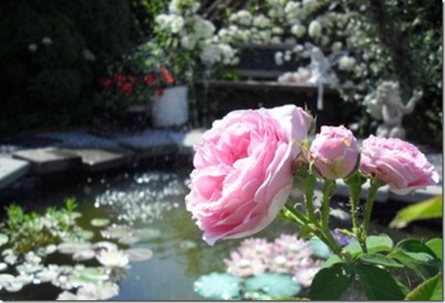 [BESKJR~1_thumb[1][3].jpg]