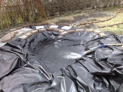 [26042008249_komprimert[3].jpg]