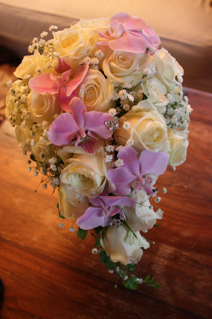[IMG_8903[4].jpg]