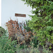 DSC_0135.JPG