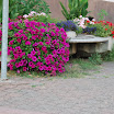DSC_0138.JPG