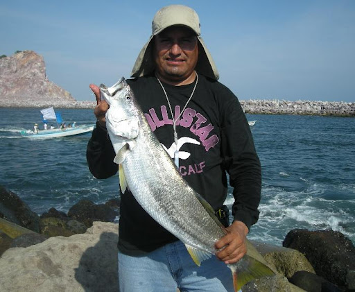 Pesca Costera Mexico: Las Corvinas del Pacifico Mexicano.