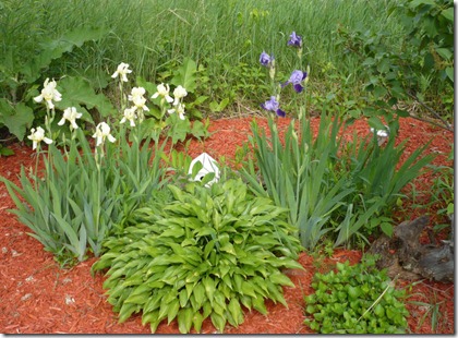 garden9 garden9