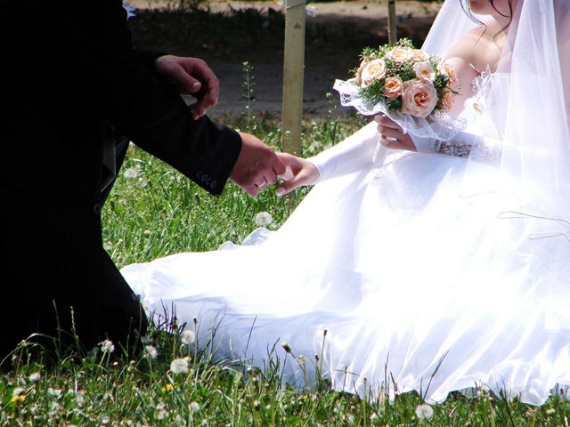 [Photoxpress_3342908[4].jpg]