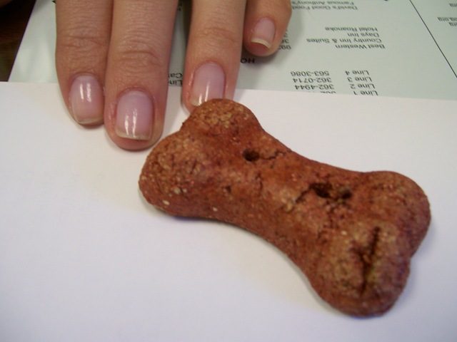 [doggy bone005[2].jpg]