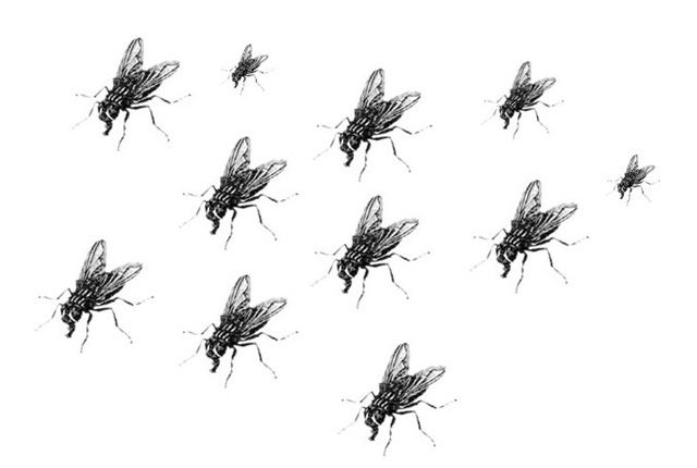 [moscasteknomatika3.jpg]