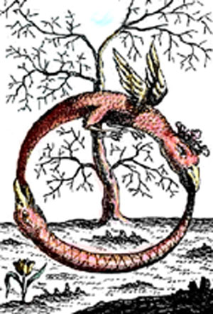 Serpiente enroscada