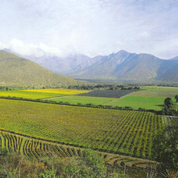 valle