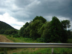 DSC08544.JPG