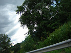 DSC08545.JPG
