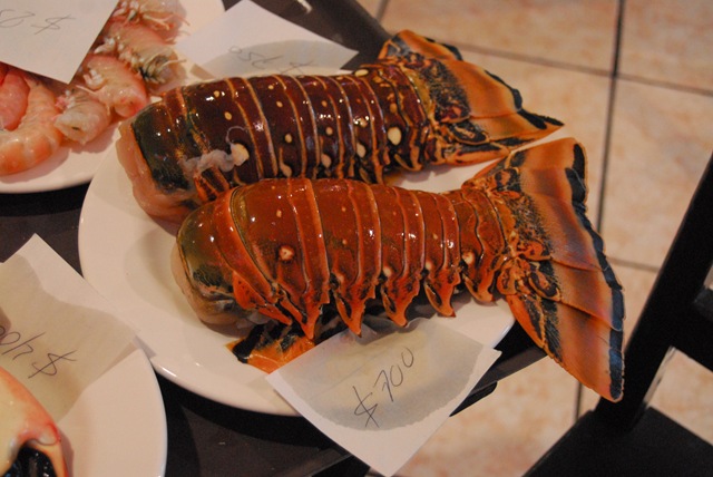 [DSC_09542.jpg]