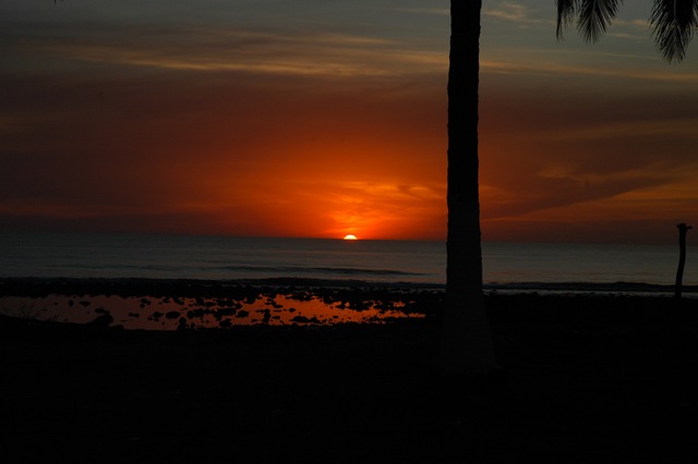 [DSC_7853[4].jpg]