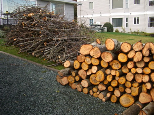 [firewood3.jpg]