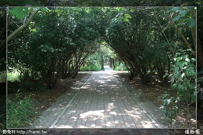 [高雄] 原生植物園