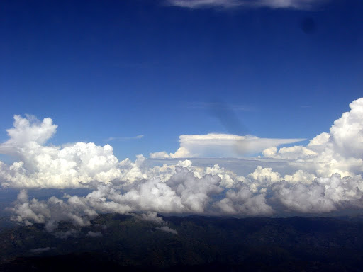 CIMG8558.JPG