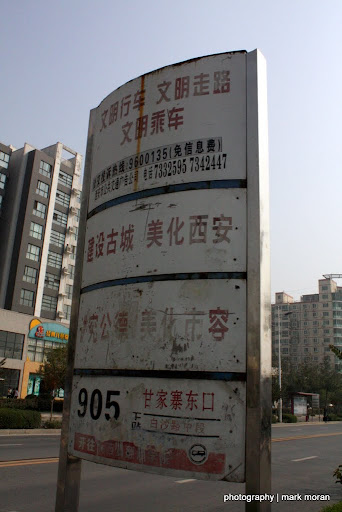 Waiting for Bus No. 905