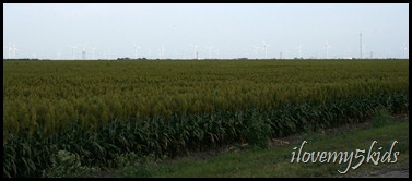 Windmills Galore