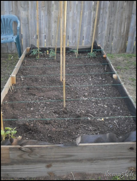 4 x 8 Gardening Bed