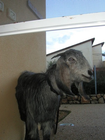 [p2010007[13].jpg]