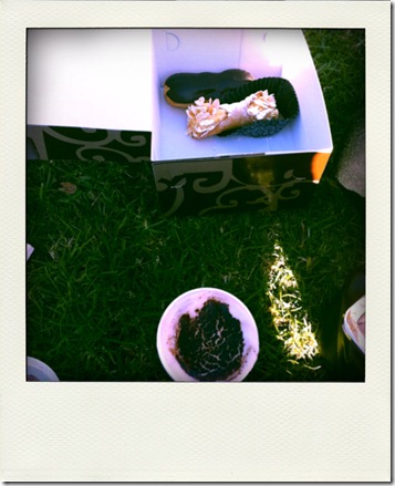 IMG_3684-pola IMG_3684-pola