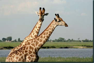 IMG_7587 IMG_7587