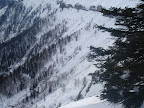 View Photo