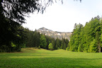 View Photo