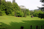 View Photo