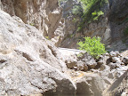 View Photo