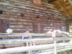View Photo