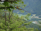 View Photo