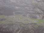 View Photo