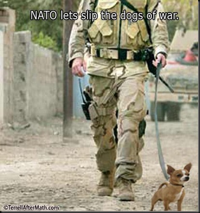 dogsofwary