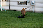 IMG_0441.JPG