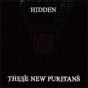 [these-new-puritans-hidden-1-album-art-62539[3].jpg]